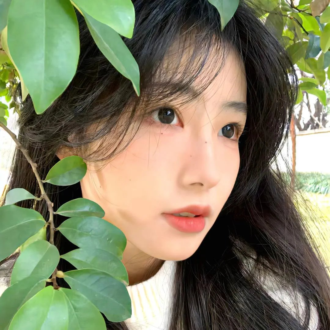 哨兵
